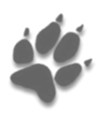 zurück zu Welpen
